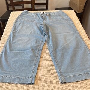 Women’s Plus Size Lane Bryant Light Blue wide leg Jeans